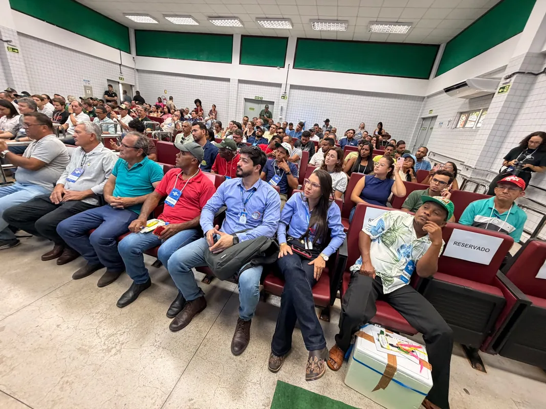 Encontro nacional fortalece a bananicultura e destaca Indicação Geográfica da banana de Bom Jesus da Lapa