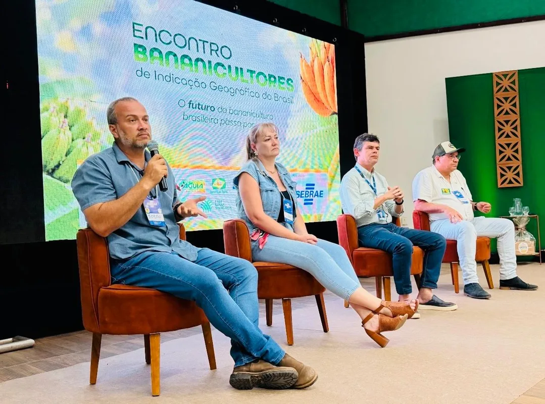 Diretor da Frutas do Oeste destaca nova fase da banana de Bom Jesus da Lapa com Indicação Geográfica e modernização da associação em encontro nacional