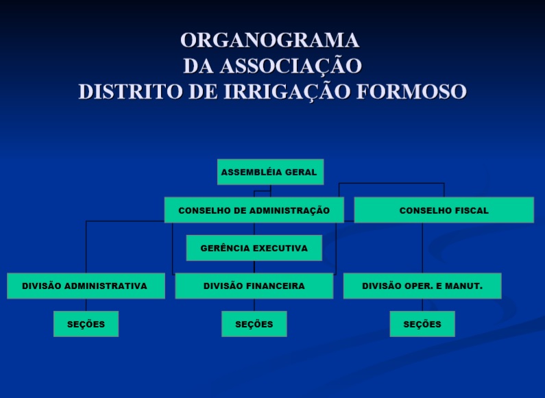 organograma organograma